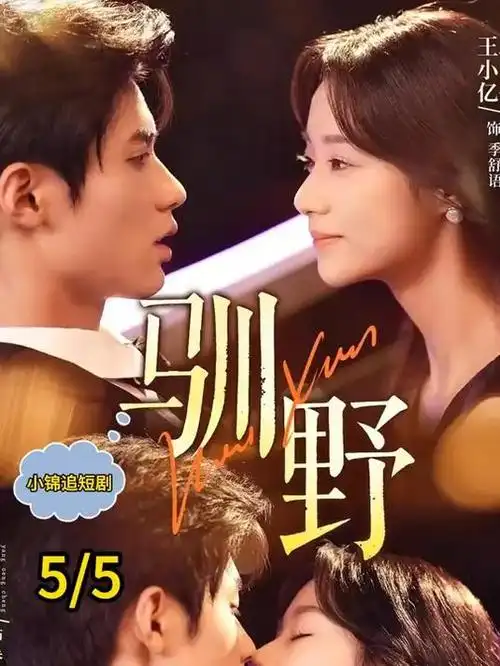 我的阿勒泰 画廊画面